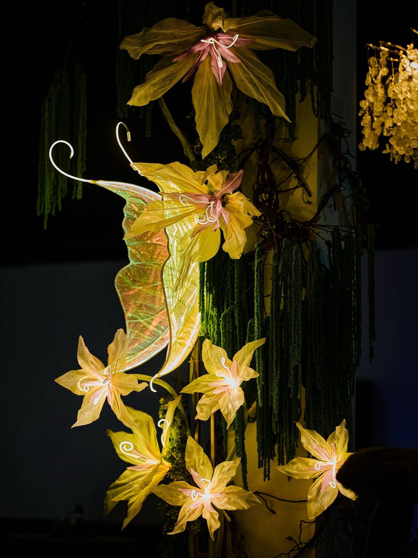 galeria-9.jpg